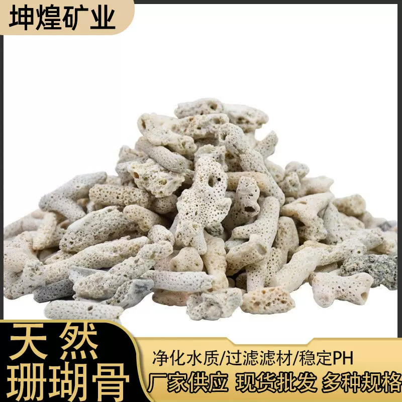 厂家批发珊瑚骨水族造景过滤装饰材料珊瑚沙海洋馆净化水质珊瑚石