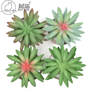 �������ֲ��17cm�����ָ�ǧ�Ӿ�ܛ�z������Gֲ�b���Gֲ����