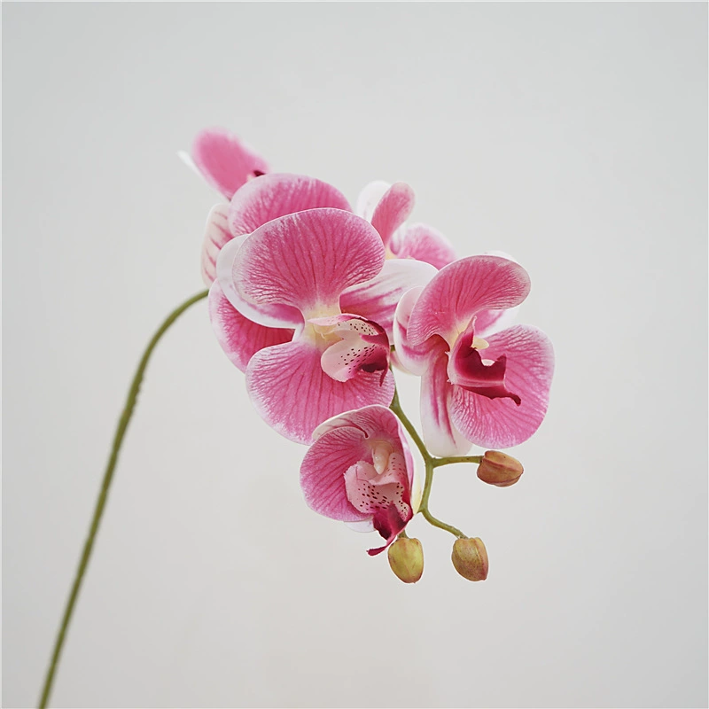3D-Printed Phalaenopsis Artificial Flower Stem, Realistic Touch, 36 cm, 6-Bloom