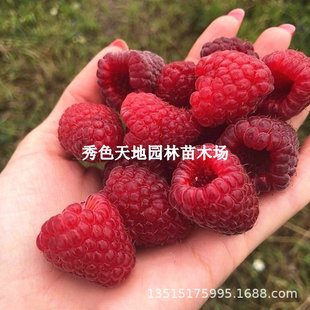 �W�޼t��ݮ���ش��̨���Թ���ͥԺ���Ժژ�ݮ�ϱ����Nֲ������