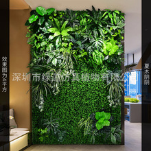 ����ľ�ꎡ�����ֲ�1ƽ���ٲ�ƺ����������ֲ��������m�G�~