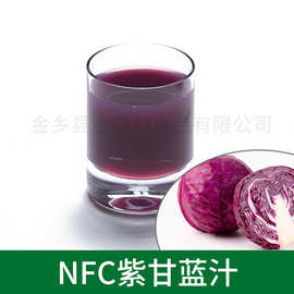 NFC紫甘蓝汁 紫甘蓝汁 紫甘蓝提取物 蔬菜汁 厂家供应