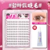 Diao Chan【Pink Comic Style】