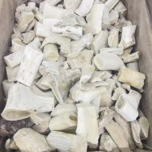 鹿角霜  中药材批发供应 鹿角霜 实物拍摄