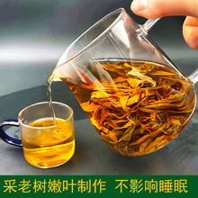 野生老鷹茶5g四川重慶火鍋常用巫溪產貴州高山白茶手工老蔭茶