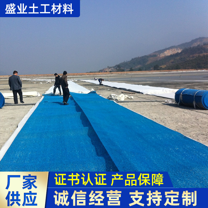 HDPE土工席垫厚度10mm 矿山尾矿库隧道排水工程污水过滤渗排水垫