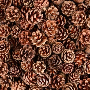 �}�Q�ɹ��׃��@�b�ͯ�ֹ������ɻ����͸ɻ����������h����֦