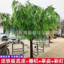 ������٘��������������ֲ���bƵ��d������ľ���