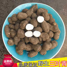 Ұɽ���~�����r�㽭�𾀵����Jʯ������ɷ�Ƭ��؛���~�������؛