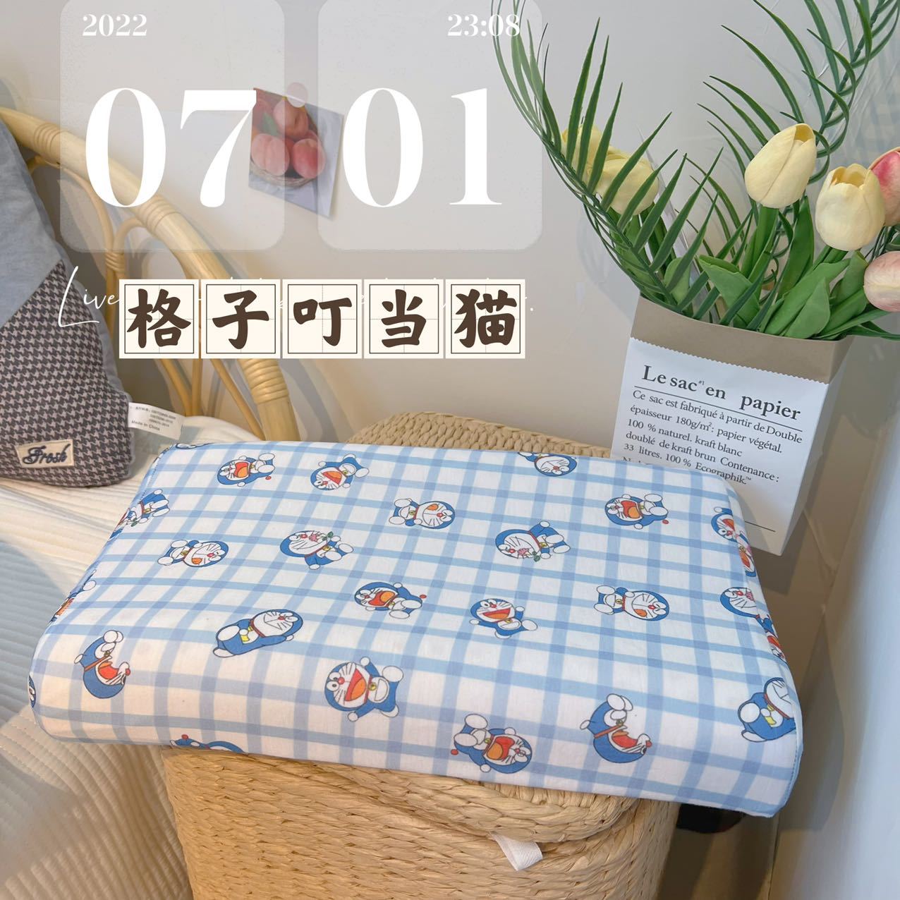 징글 고양이 확인