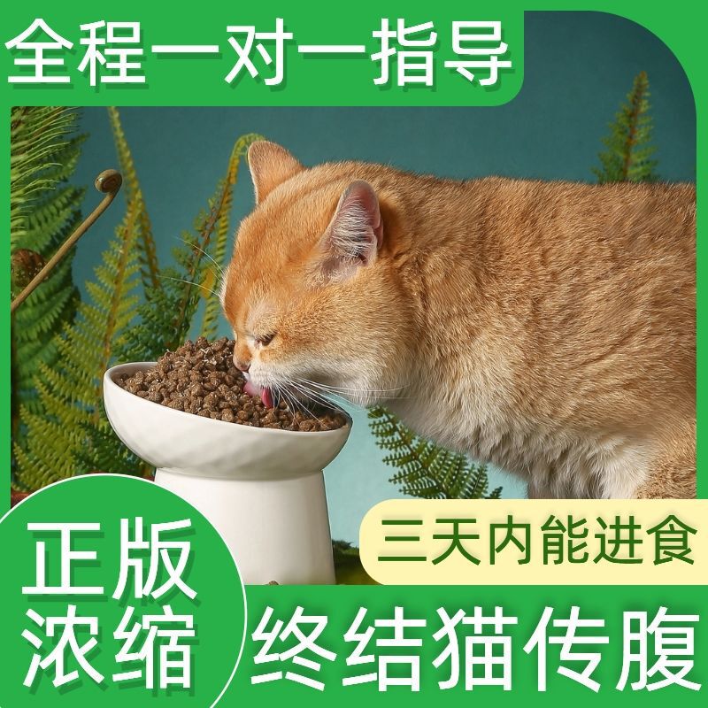 猫腹膜乾湿猫腹膜油剤水剤特殊注射剤経口錠剤FIPV安定版栄養液|undefined