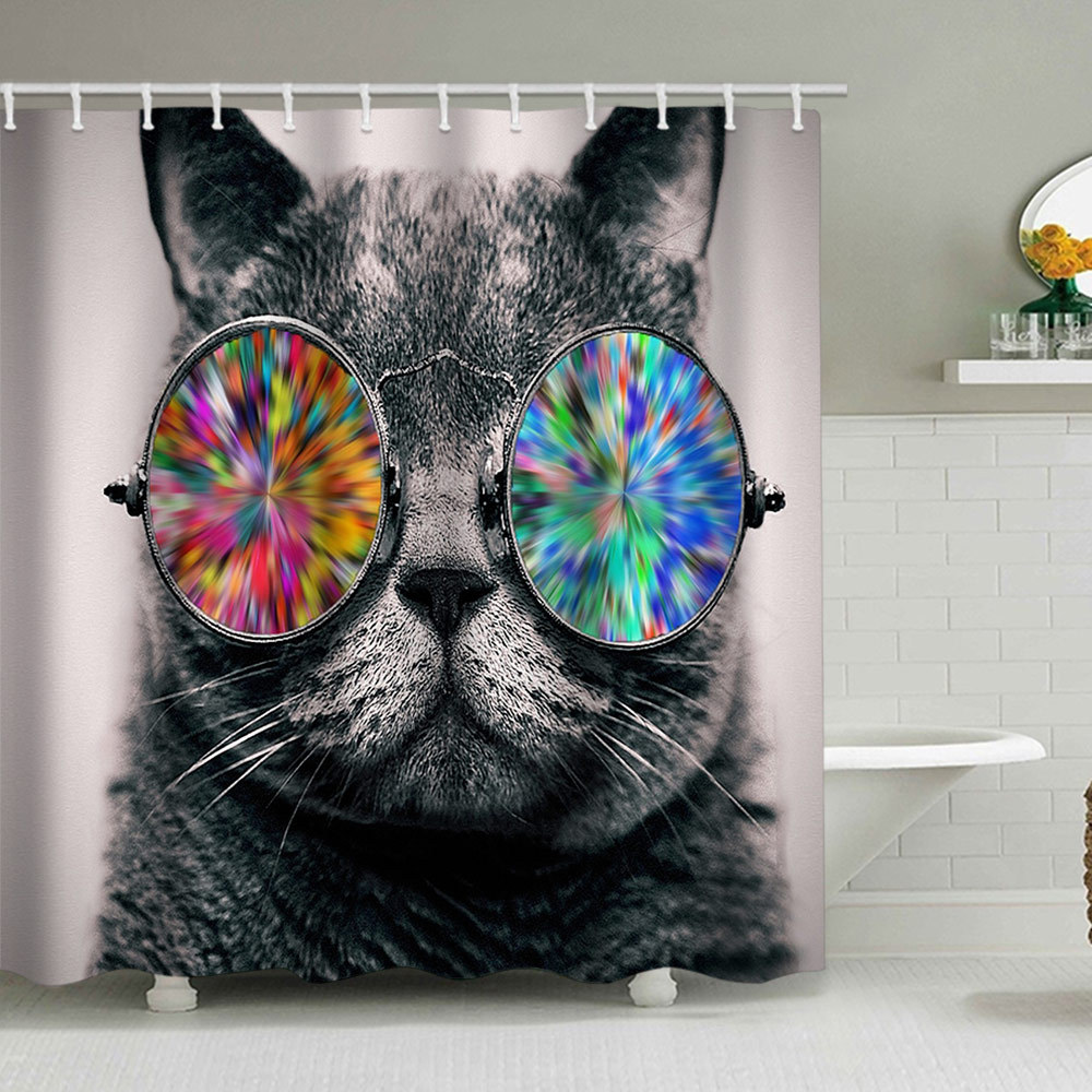 선글라스 고양이