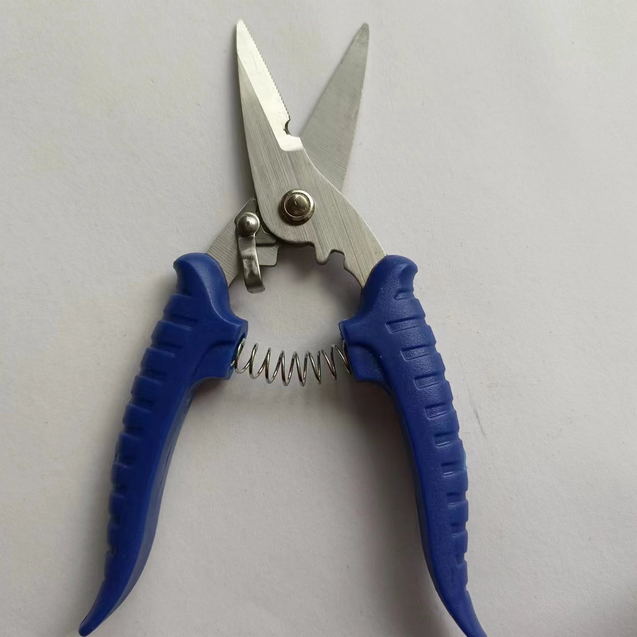 微信图片_20240322101012