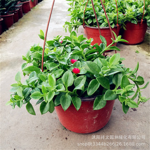 ��Ʒ�N���Ի��� ĵ�����m ���u������ ��̨���� �҃���������