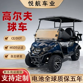 电动观光车;高尔夫球车;其他电动车