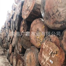 进口银口木原木批发 沙发椅子家具客厅实木木板山樟木按需制作