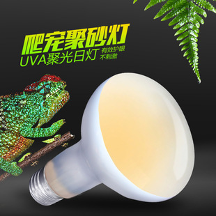 Ноха 220V Рептилия UVA отопление, коробка черепах без цветной коробки, солнечный свет плюс теплый лампа, ящерица черепаха, охраняющая лампа дворца