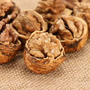 ��Ƥ������Ϻ��ұ�Ƥ��؛ԭζ�������ք����r��������bEMO����