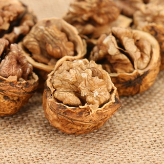纸皮核桃云南核桃薄皮新货原味生核桃手剥新鲜核桃五斤装EMO定制