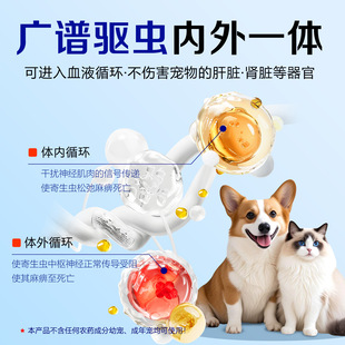 С؈����һ�w�������xș؈����xș�w����؈؈�Ì��Ì�����x�w��