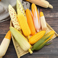 ��������ģ�� ���ϸ߼�ˮ���߲��r�Ҙ�������ͯ�N���b[�����