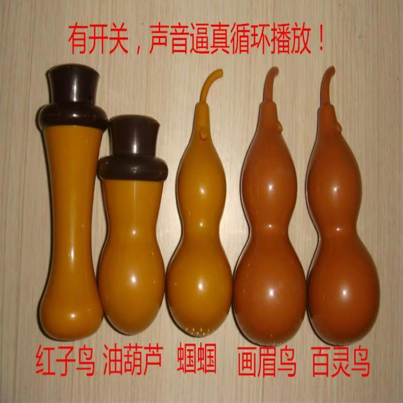 电子蝈蝈电子鸟发声葫芦蝈蝈引叫画眉鸟百灵鸟油葫芦引叫葫芦