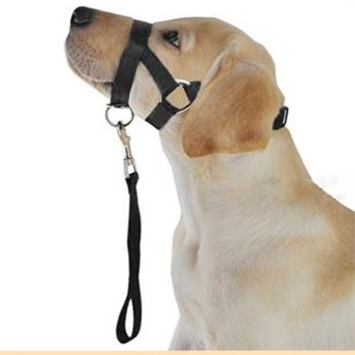 Cross-border new pet dog muzzle rope muzzle dog mouth and nose ring training dog anti-riot pull dog leash dog walking supplies