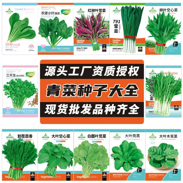Factory Wholesale Four-Season Green Vegetable Seeds, Balcony Potted Coriander, Rapeseed, Lettuce Vegetable Seeds, Rapeseed Seeds