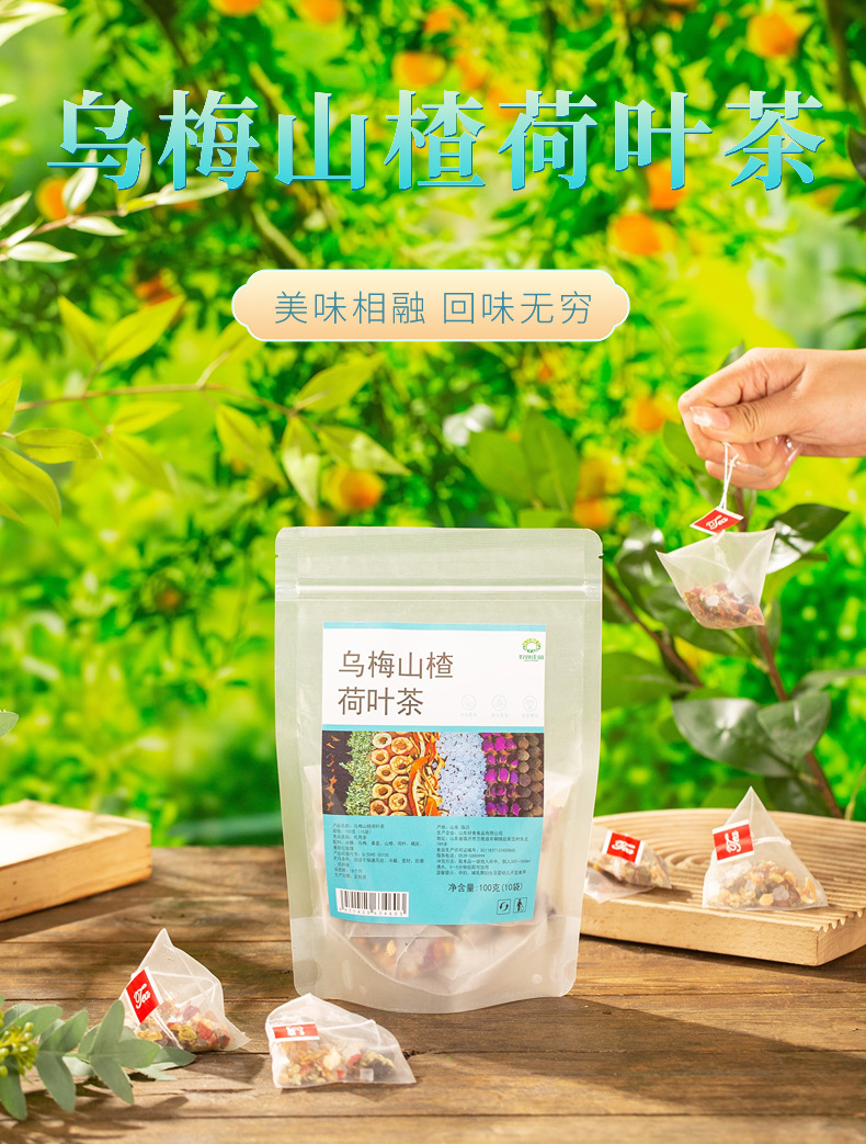Wumei Shanzha Heye Tea Dark Plum Hawthorn Lotus Leaf Blend 100g 10 Pyramid Tea Bags Sugar Free overview