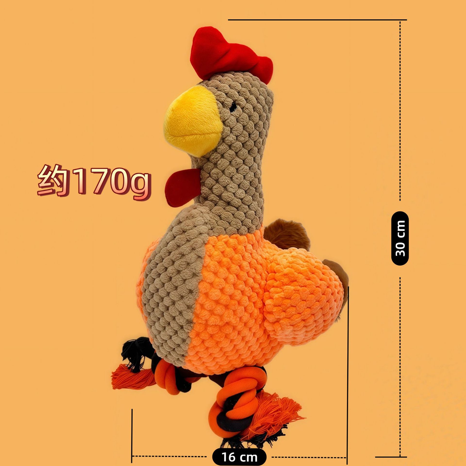 암탉