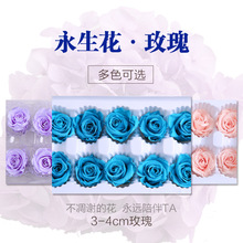 �������ɻ�����õ��S��ֱ�IŮ��diy��������õ�廨3-4cm���^