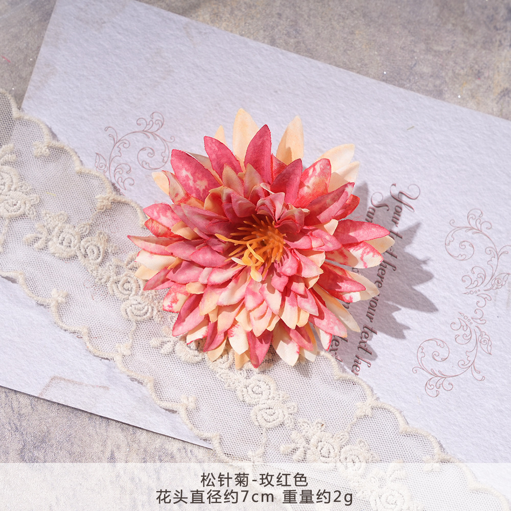 XH2-솔잎국화-로즈레드