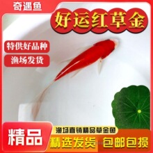 �ݽ��~���~�\���~���^�p�~��ˮ�~��ˮ�~С���ͻ���wС���~�t�ݽ�