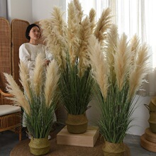 �JȔ�Gֲ������Ȼ��Ȕ�ɻ��҃����޵�䁙����쾰�b[��