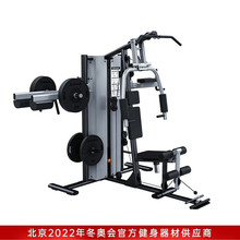 综合训练器家用器材多功能健身运动力量器械健身房三人站SH-G5203