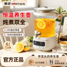 金正多功能养生壶恒温玻璃壶身小型家用炖煮茶壶养生壶炖煮一体