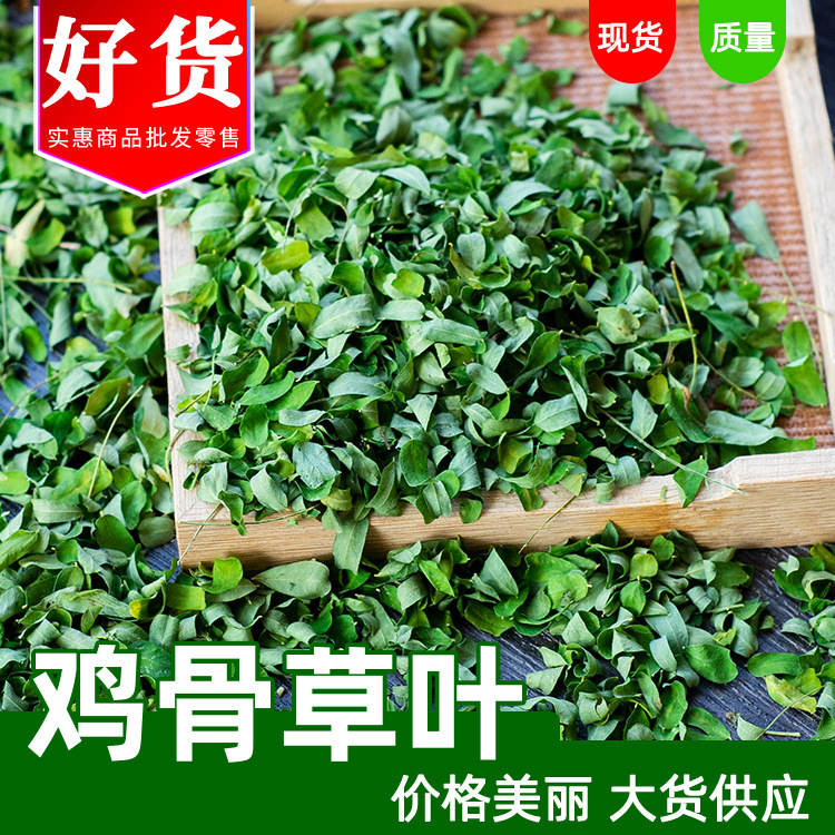 Supply Guangxi fresh acacia leaf tea wholesale bulk chicken bone grass vine leaves good goods chicken bone grass leaves large favorably Supply Guangxi fresh acacia leaf tea wholesale bulk chicken bone grass vine leaves good goods chicken bone grass leaves large favorably
