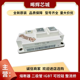 普通晶闸管;IGBT模块;其他二极管