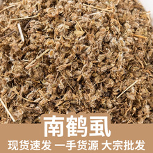 ���Qʭ ʭ�Ӳ� Ұ���}���ӳн�ș��ӆ������ă�