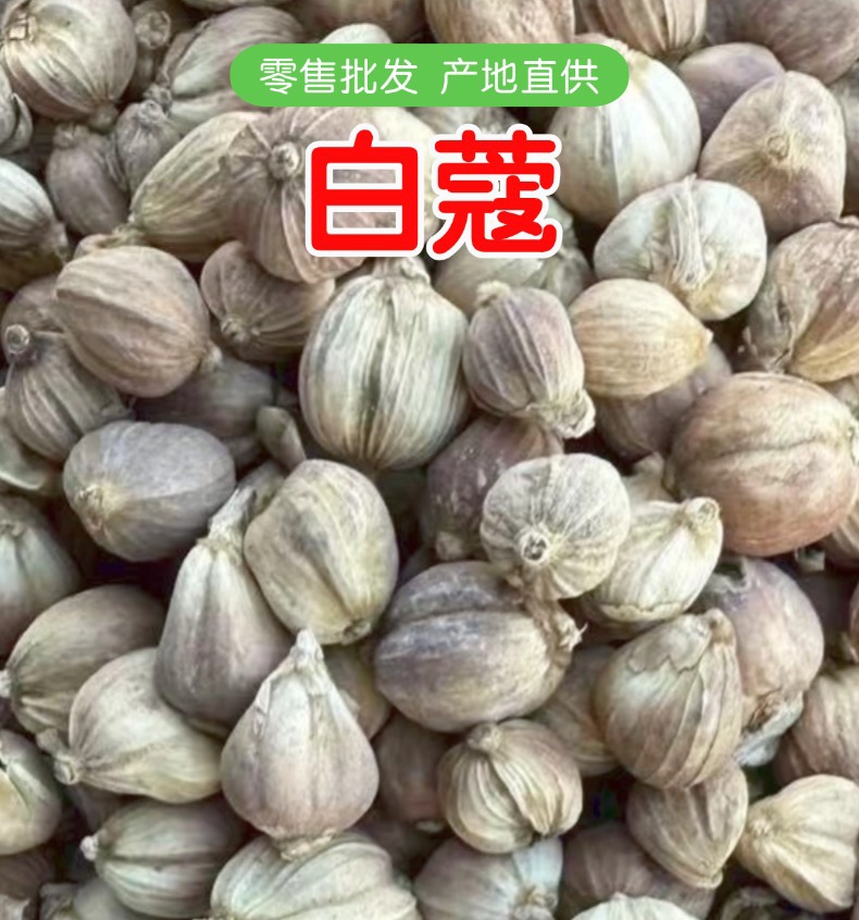 Dried White Cardamom Whole Spice Bai Kou 500g for Hot Pot Broth and Braised Dishes overview