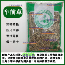 ܇ǰݸ؛rޯҰƽ܇ǰĹЧc܇ǰݴݲ