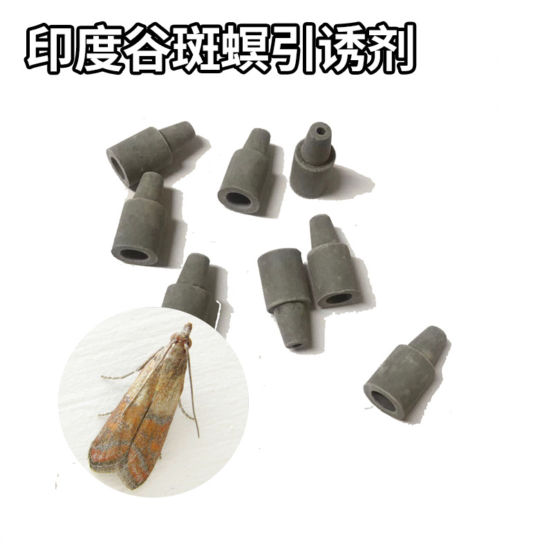 批发昆虫信息素印度谷斑螟引诱剂 固体状信息素厂家橡胶塞引诱剂