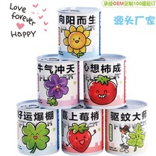 六一儿童节礼物易拉罐盆栽室内迷你桌面小绿植网红罐头观景小盆栽