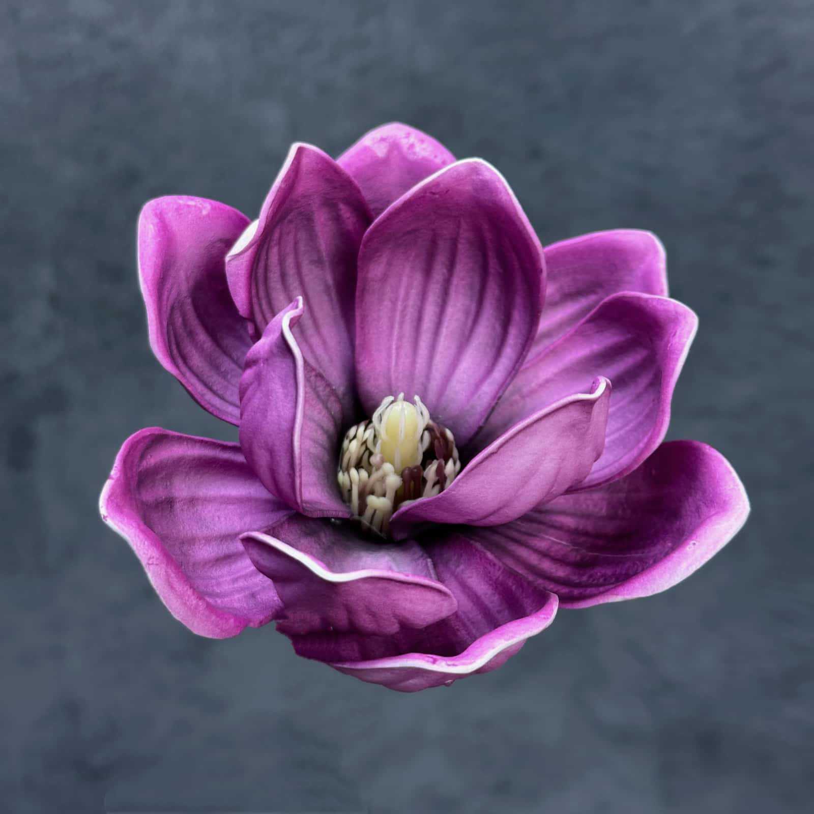 Flor de simulación transfronteriza EVA cabeza de magnolia 13cm tacto tocado kapok decoración decoración decoración flor falsa al por mayor