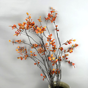 ��ɫ����Ұݮ�~�ٶU�����p�@����С�~֦�廨��Ļ�ˇܛ�b����~