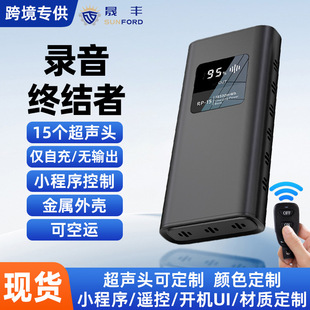 Factory Customized with 15 Ultrasonic Heads Meeting Conversation Blocker Recording Pen Anti-Recording Jammer