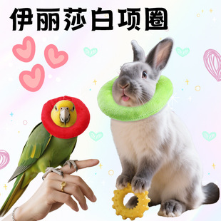 ���R�d�¿��W�^����ɯ��Ȧ�羳�S��ֱ�N�}�����ӷ���ë��ҧ���oȦ