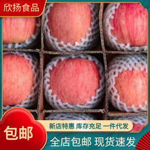 產地直供 陝西紅富士蘋果脆甜多汁當季新鮮水果帶箱10斤 一件代發