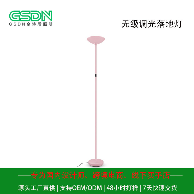 Modern Simple Ins Style Stepless Dimming Floor Lamp Living Room Bedroom Kidsren Girls Wedding High-End Atmosphere Lamp