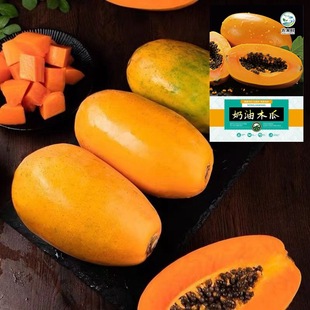 �S������ľ�ϷN���ļ����N�̨����СԺ�Nֲ�����ļ��_���aˮ��